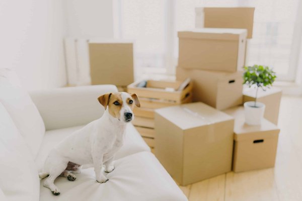 Quels sont les essentiels pour composer un look de week-end confortable et tendance?